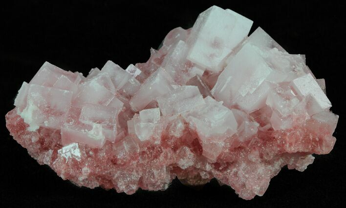 Pink Halite Crystal Plate - Trona, California #61071